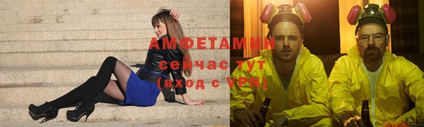 прущие грибы Беломорск