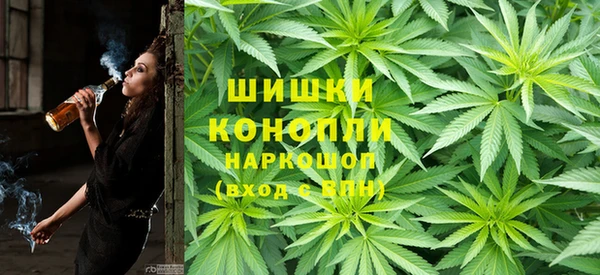прущие грибы Беломорск