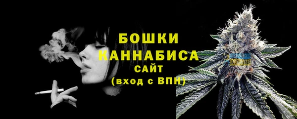прущие грибы Беломорск