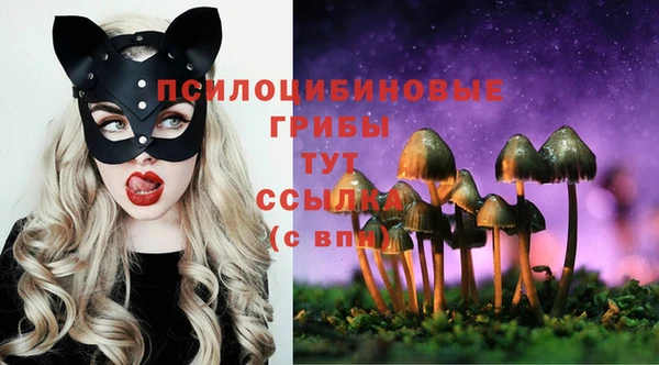 apvp Белоозёрский