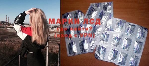 прущие грибы Беломорск