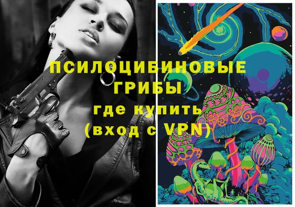 прущие грибы Беломорск