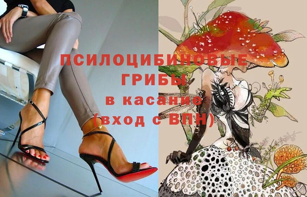 прущие грибы Беломорск