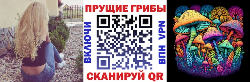 где можно купить наркотик  Дальнегорск  Галлюциногенные грибы GOLDEN TEACHER 